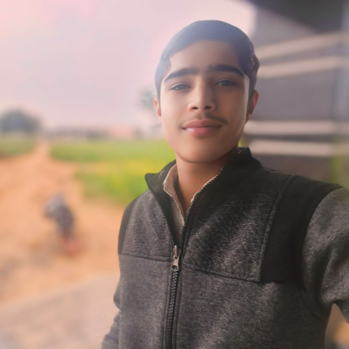 Ankit  S. profile photo