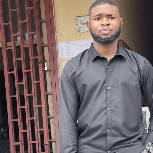 Ifeanyichukwu  V. profile photo