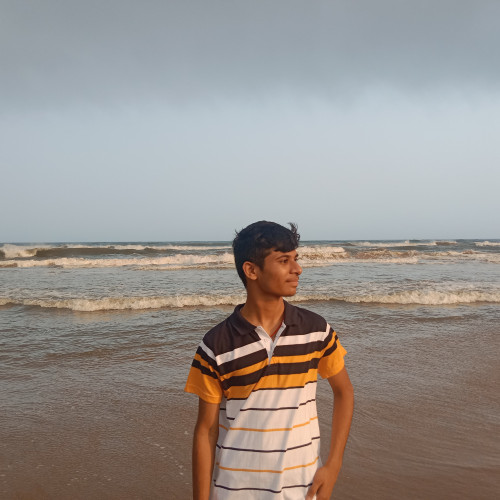 Shivasis  S. profile photo