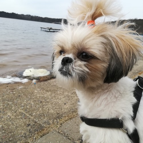 Mateusz S. profile photo