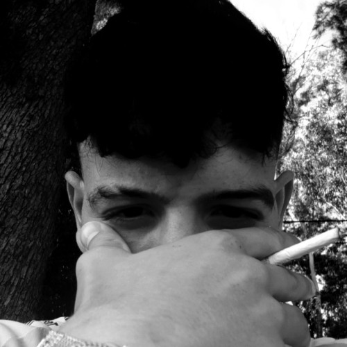 Achref M.