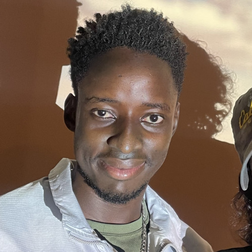 Albright Sindiso  N. profile photo
