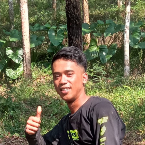 Roy A. profile photo