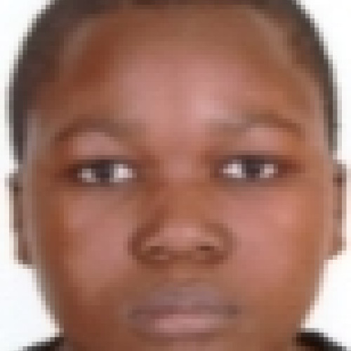 Marlon  K. profile photo