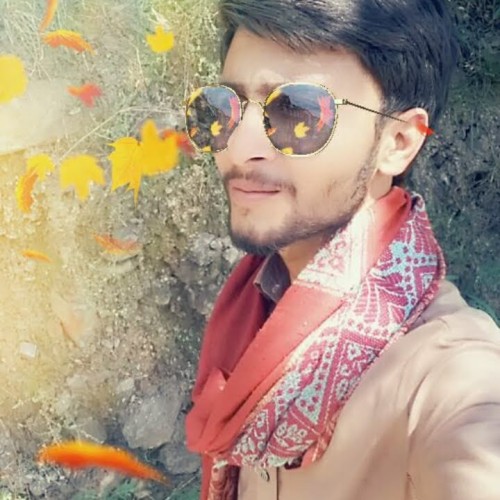 Hassan K.