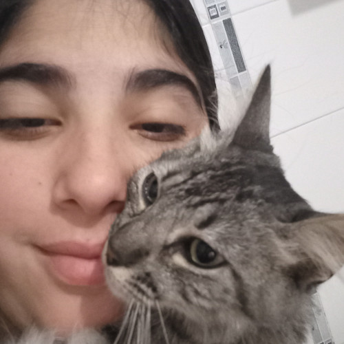Mara de los Milagros T. profile photo