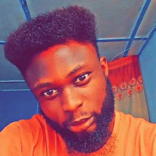 Nnamdi  O. profile photo