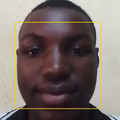 Adegoke  D. profile photo