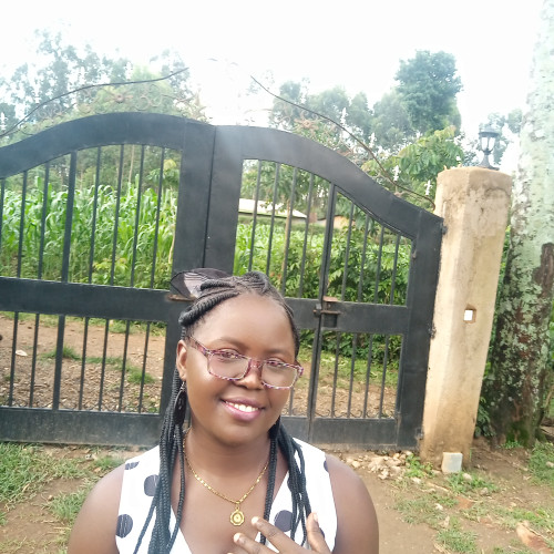 Phyll P. profile photo