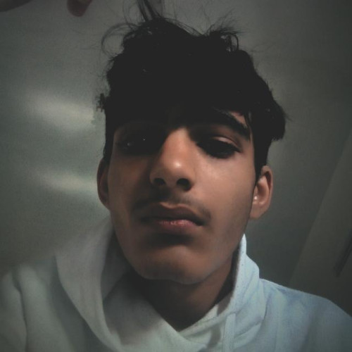 Wajid W. profile photo
