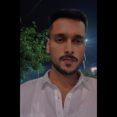 Nikunj P.