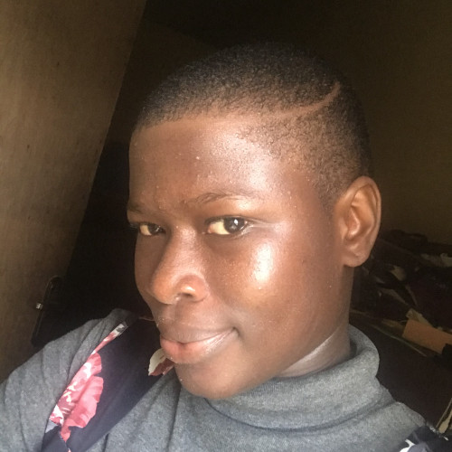 Ibirogba  O. profile photo