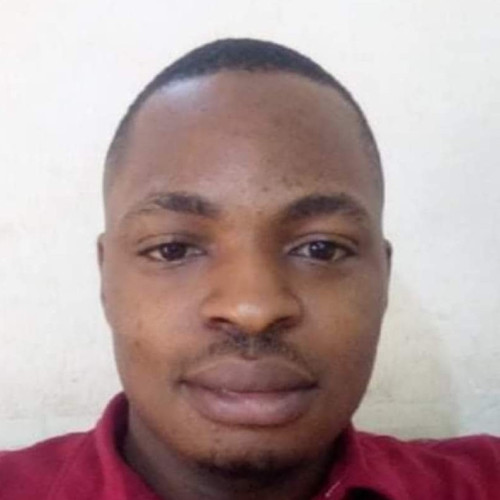 Somtochukwu  O. profile photo
