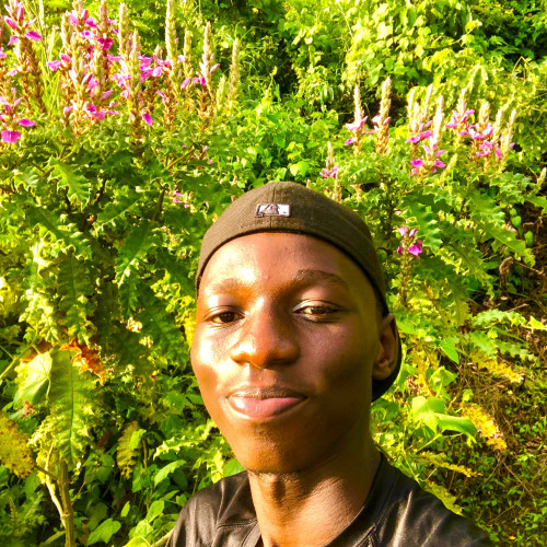 Jamal N. profile photo
