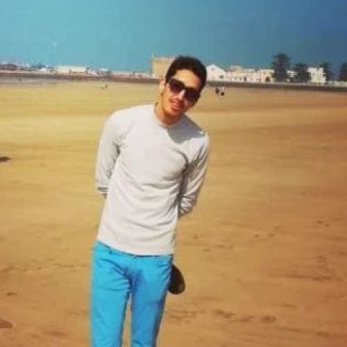 Mehdi S.