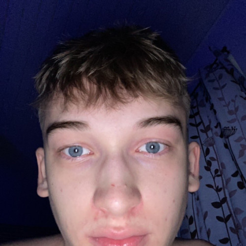 Noah B. profile photo