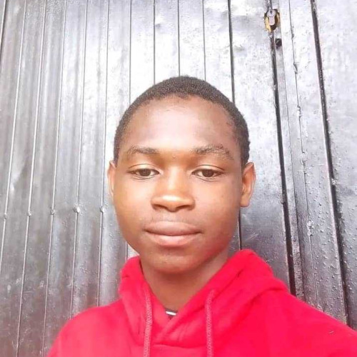 Ayo M. profile photo