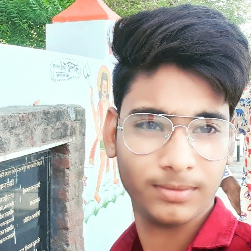 Pankaj L.