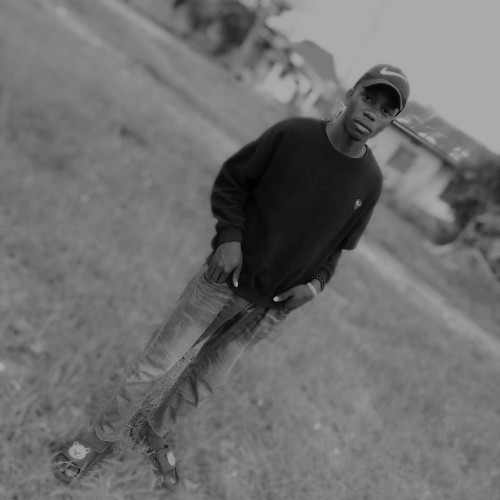 markus B. profile photo