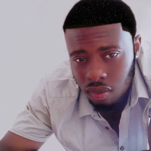 Godswill  N. profile photo