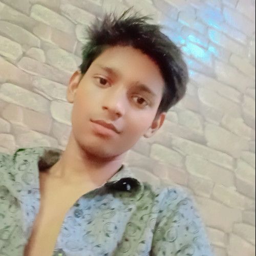 Aryan  R. profile photo