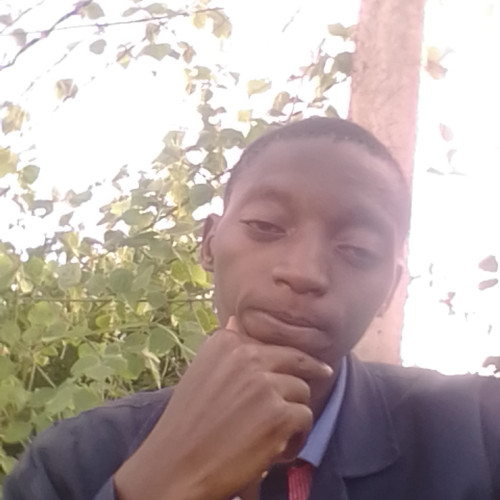 Steve M. profile photo