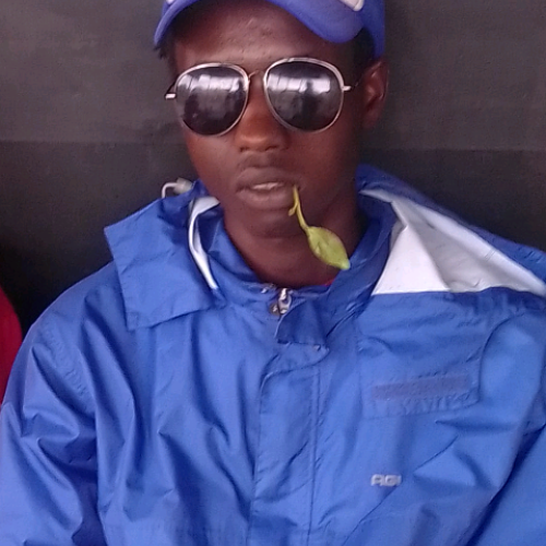 Peter n. profile photo