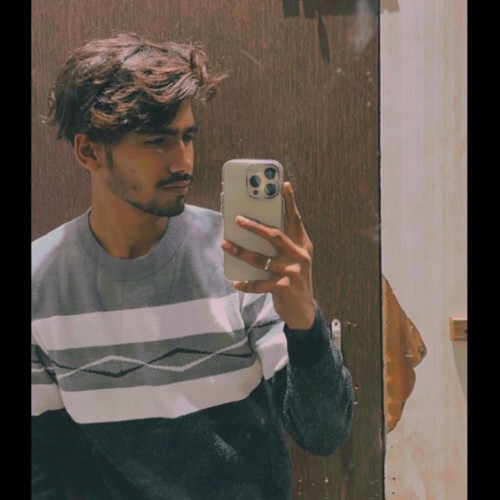 Himanshu V. profile photo