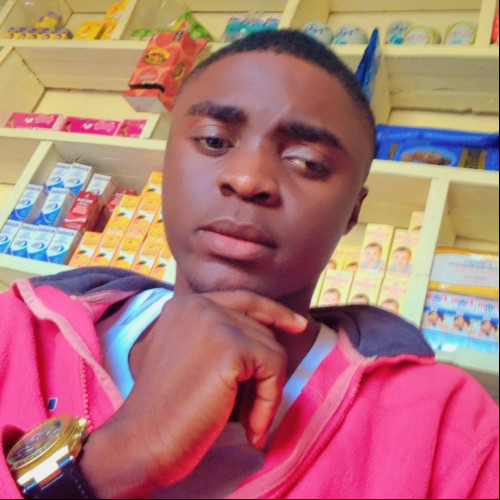 Daniel  N. profile photo