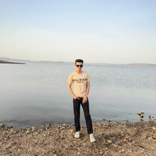 shujauddin a. profile photo