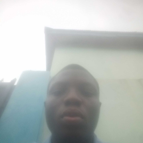 oyekan hamid a. profile photo