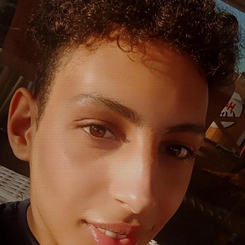 sai L. profile photo