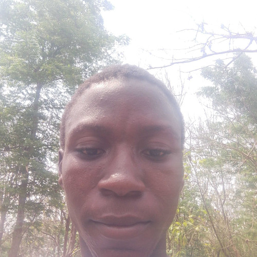 damilola A. profile photo