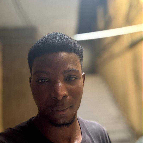 oluwagbemiga T. profile photo