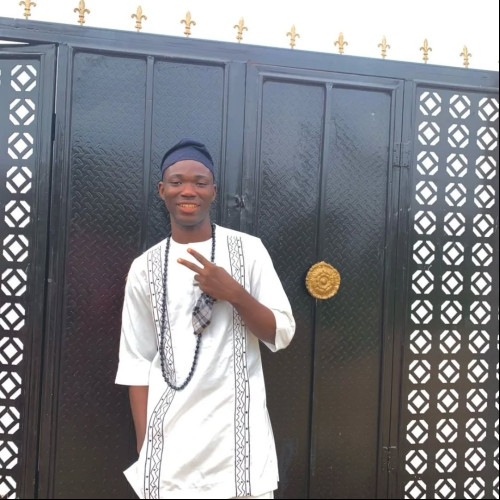 Oluwaseyi S. profile photo