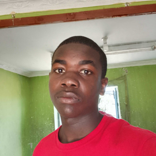 Adrian M. profile photo