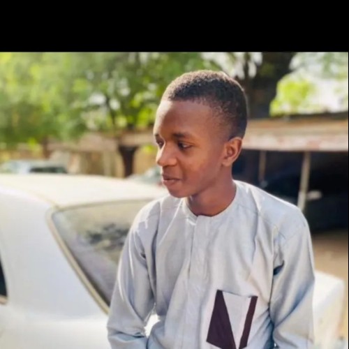 Aliyu A.