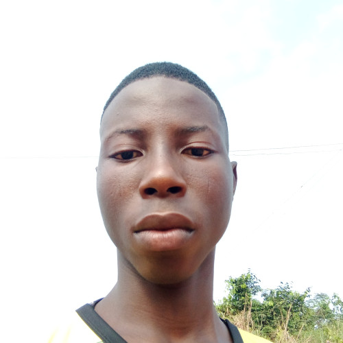Dahud N. profile photo