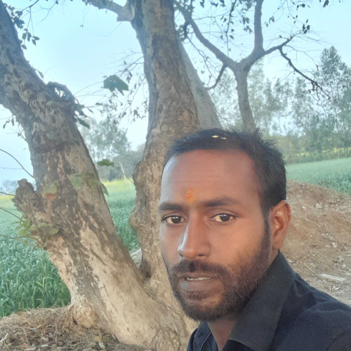 Rohit Kumar P. profile photo