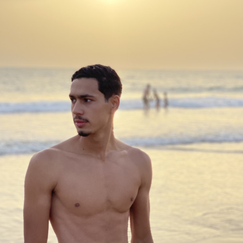 Mehdi F.