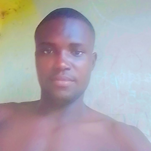 The P. profile photo