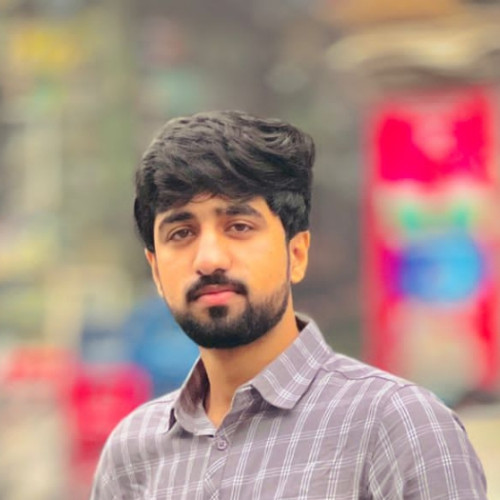 Ahmer N.