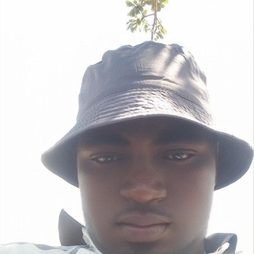 John N. profile photo