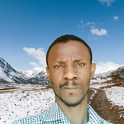 Oluseyi Paul I.