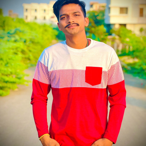 Animesh R. profile photo