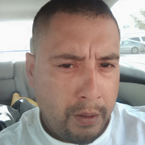 Albert N. profile photo