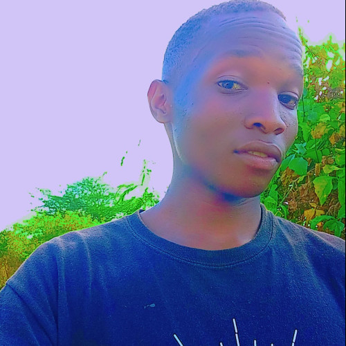 ppiuz C. profile photo