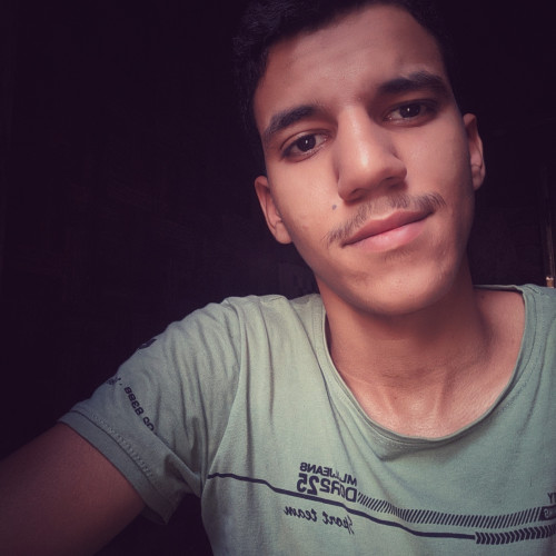 Ahmed A. profile photo