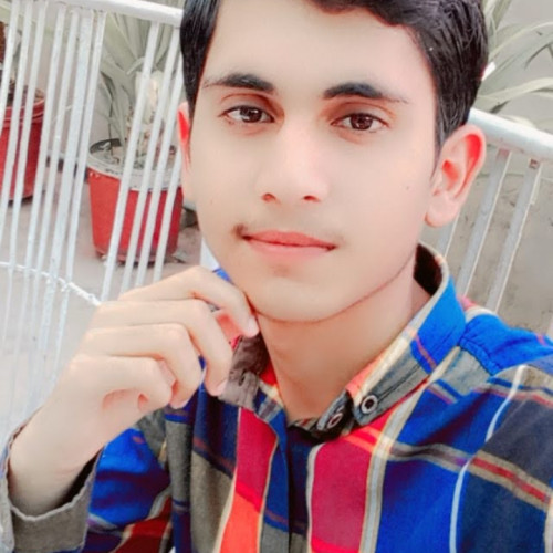 Ali  R. profile photo
