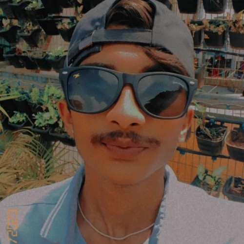 Mohit V.